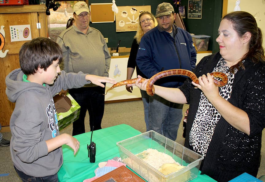 I Touched Corn Snake