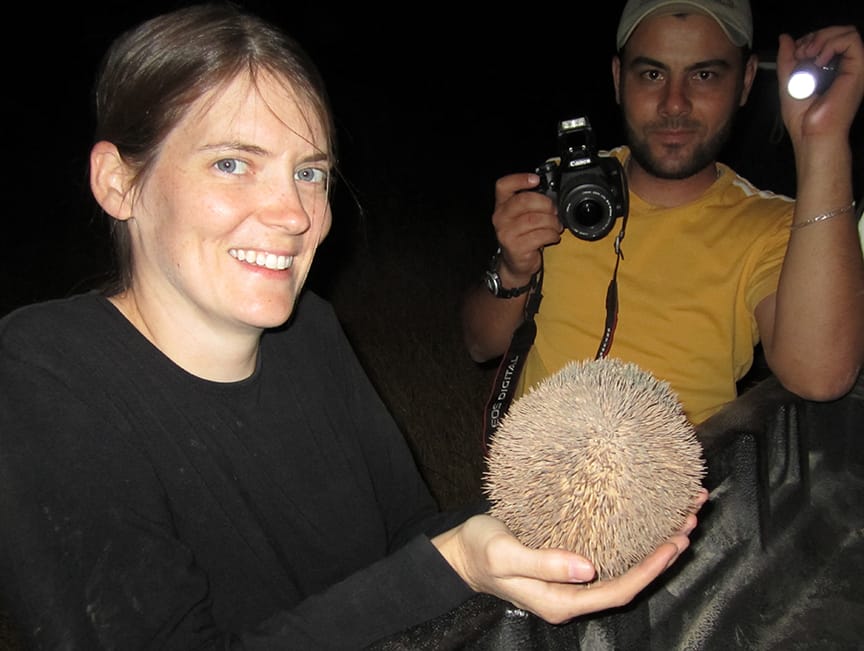 Coolest thing ever!  Yes, that is a wild hedgehog I'm holding!