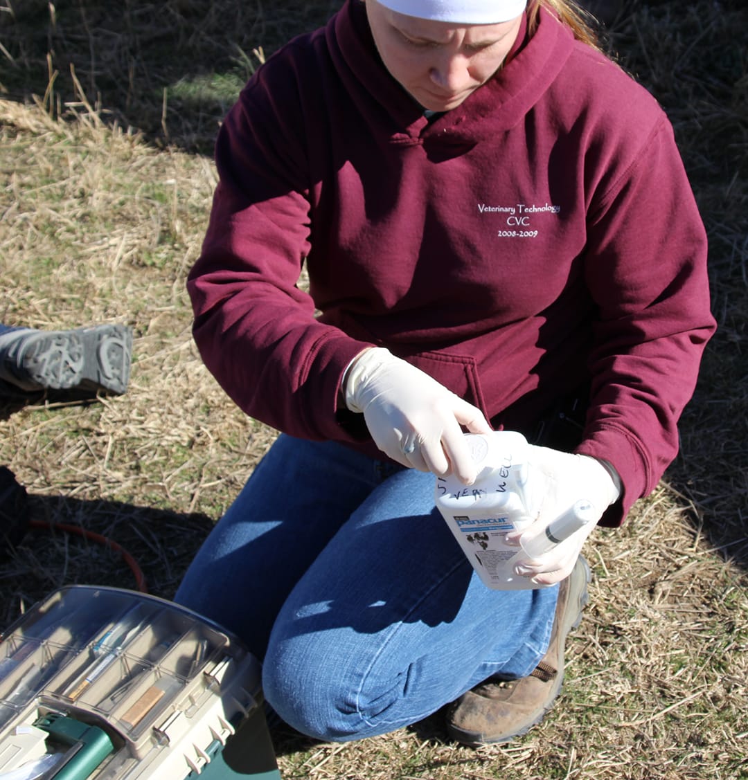 Vet Tech Discusses Intern To Staff Advancement Fossil Rim