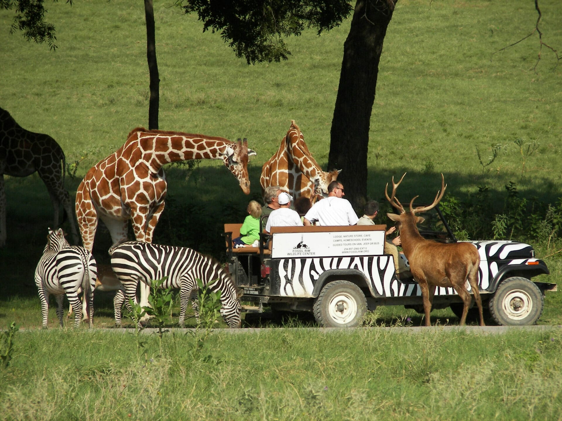 The security and safety of our animals and guests is our highest priority.