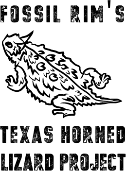 FOSSIL RIM TEXAS HORNED LIZARD PROJECT