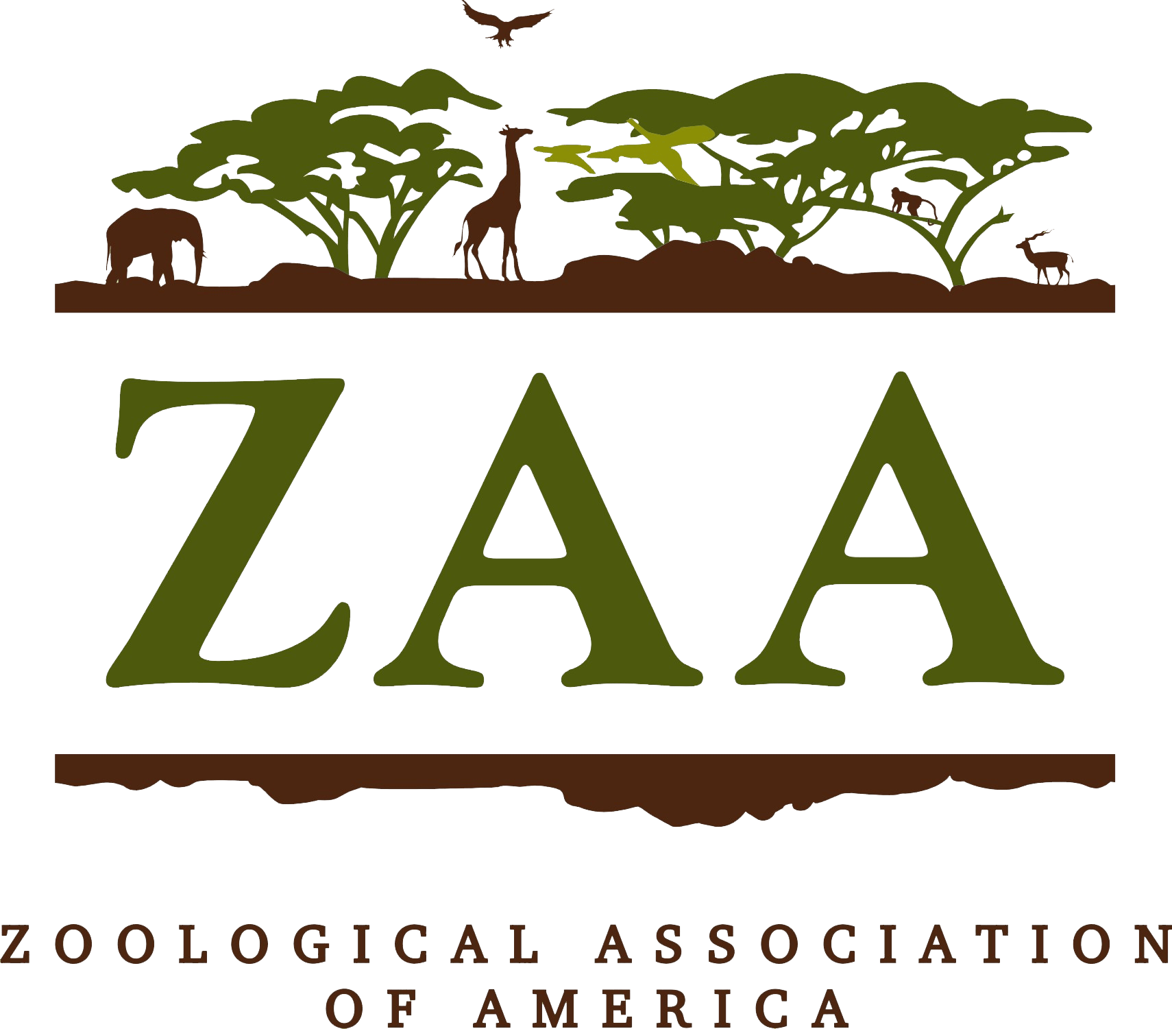 RS22423_ZAA Color Logo