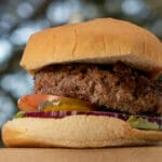 -veggieburger-
