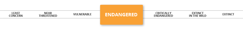 iucn-endangered