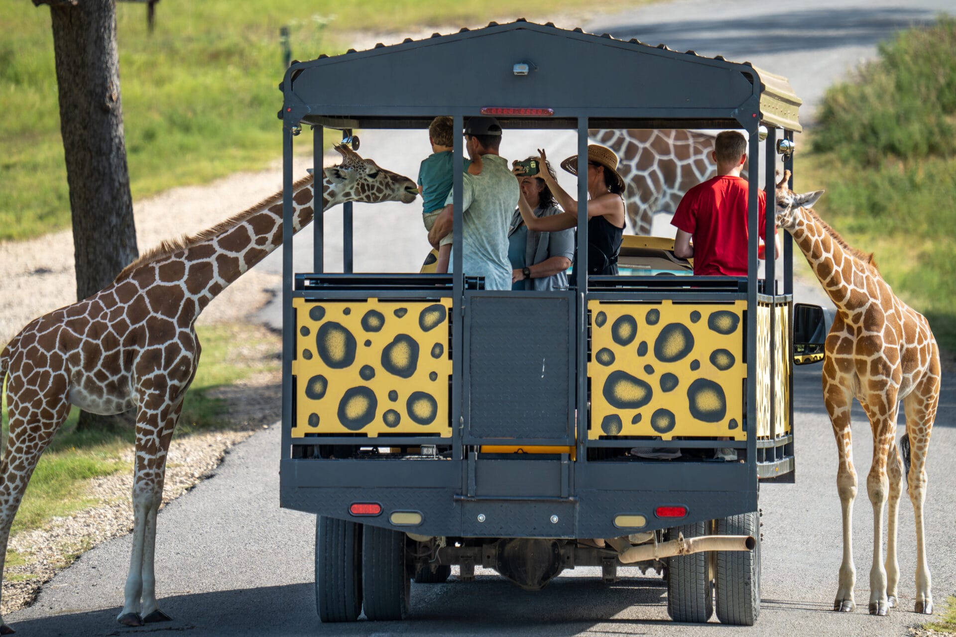 DSC01394-Enhanced-NR